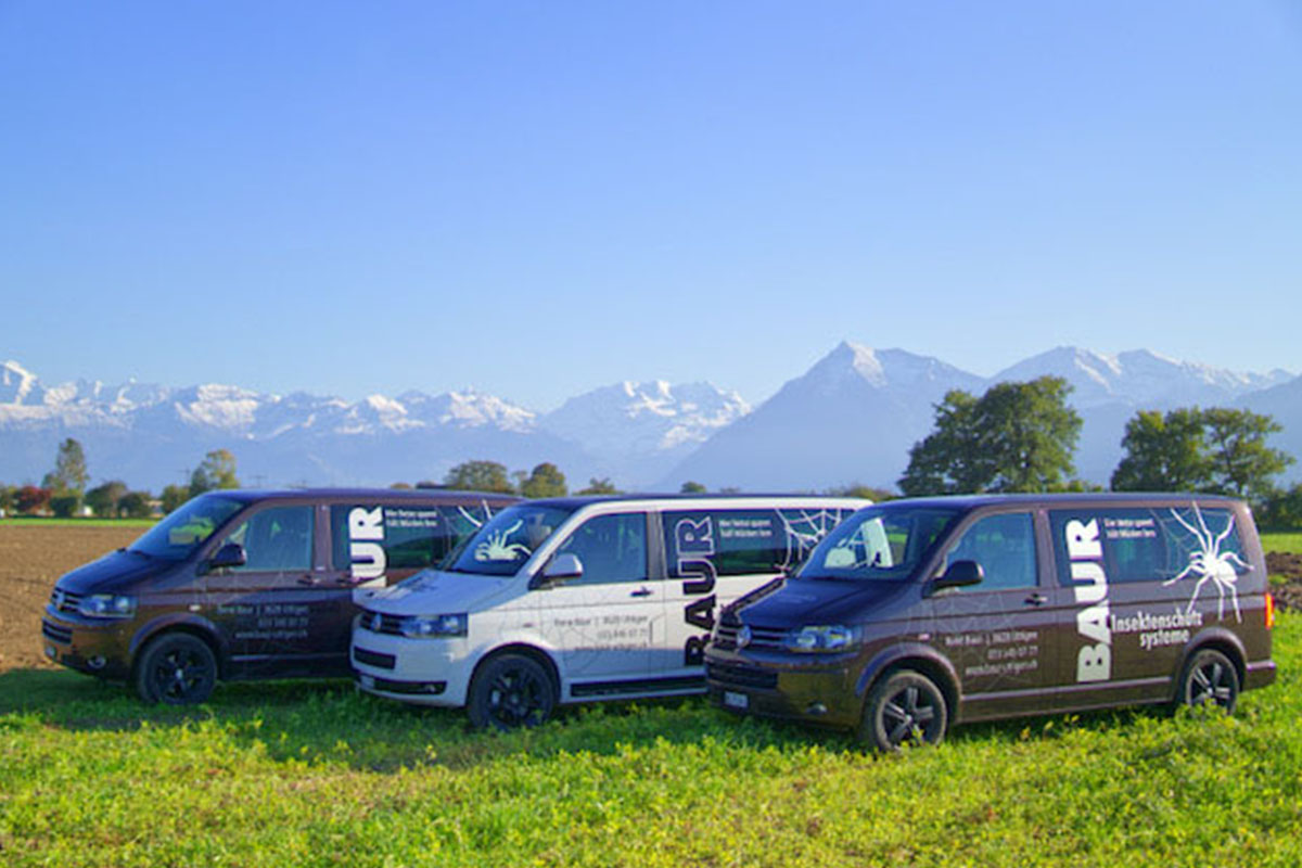 Beratung-bei-Ihnen-vor-ort-fliegengitter-Kanton-Bern
